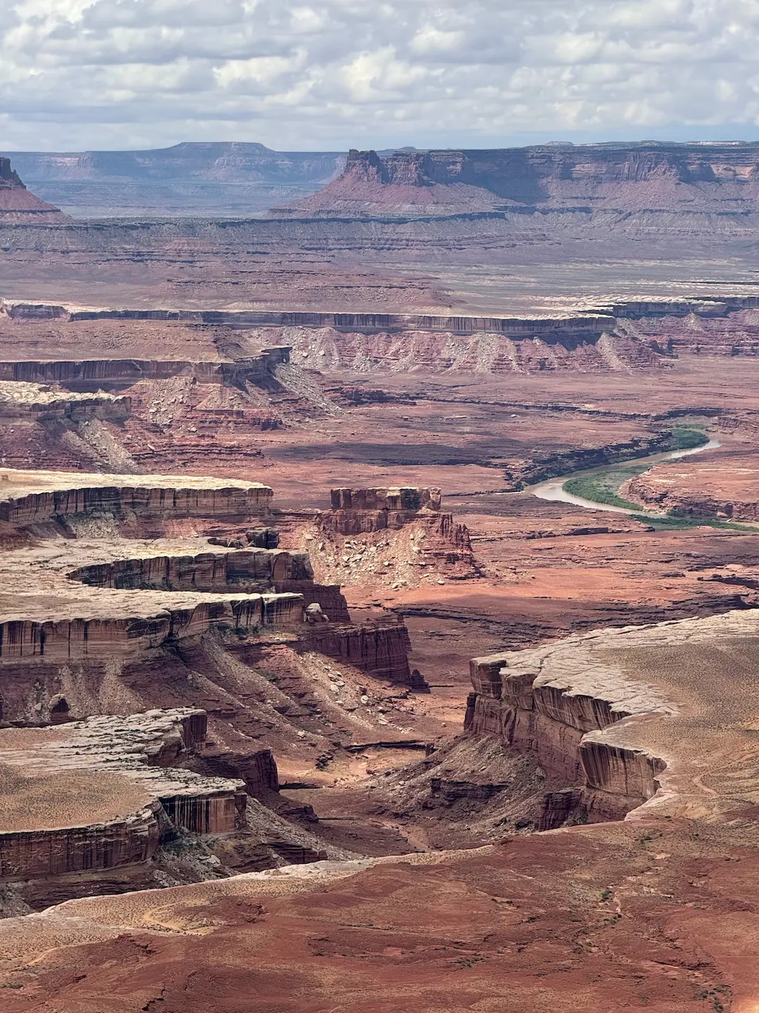 Paesaggio di un canyon a Canyonlands con strati rocciosi multicolore e un fiume verde che serpeggia sul fondo, sotto un cielo parzialmente nuvoloso.