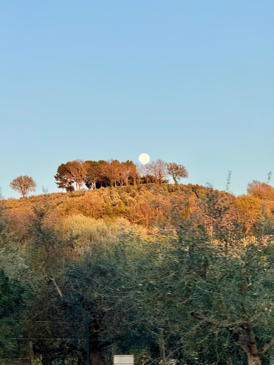 La luna